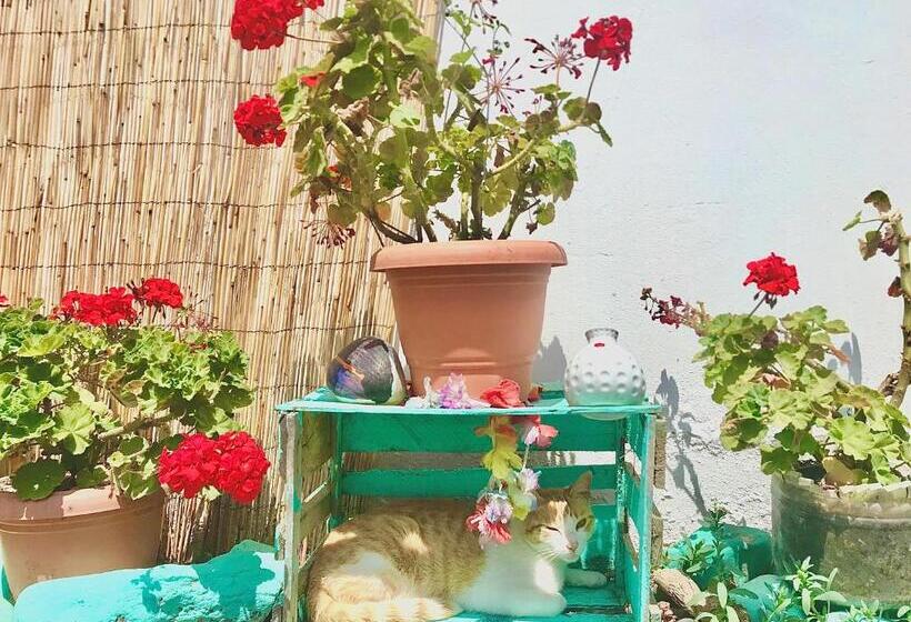 هاستل Surf House Chicama