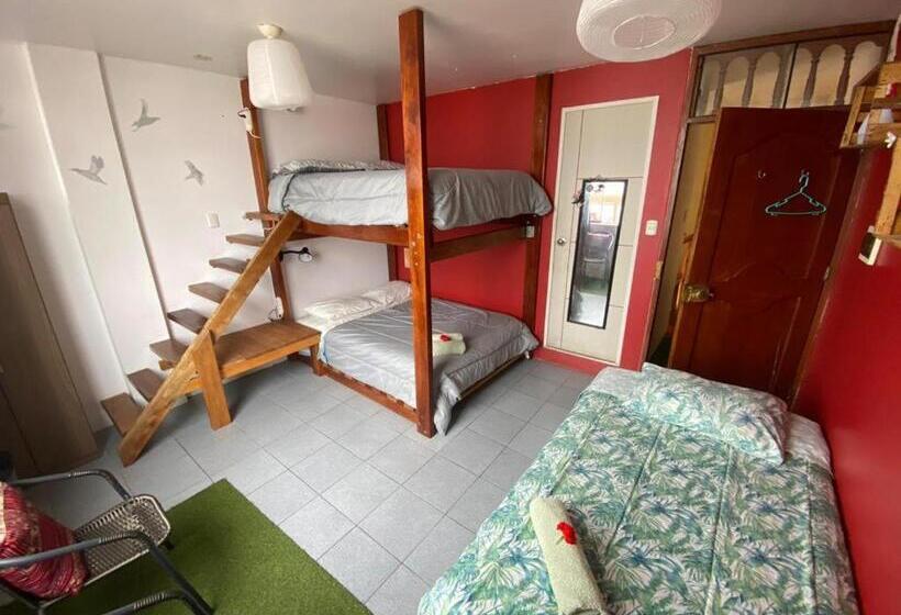 هاستل Surf House Chicama