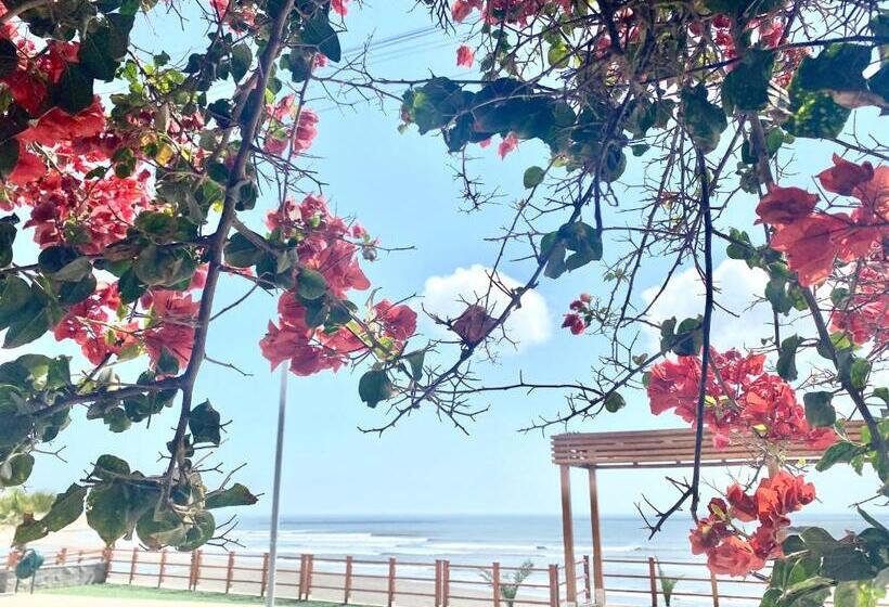 هاستل Surf House Chicama