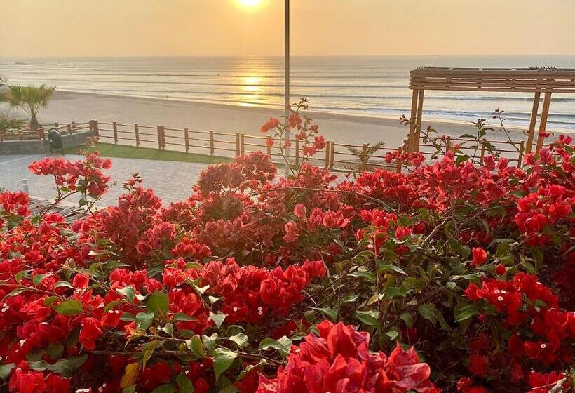 هاستل Surf House Chicama