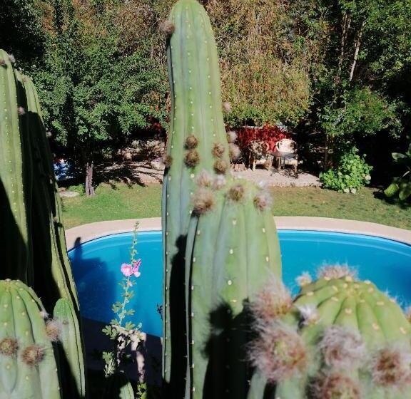 El Jardín Secreto Pisco Elqui