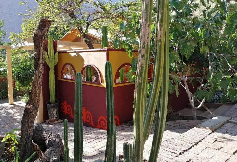 El Jardín Secreto Pisco Elqui