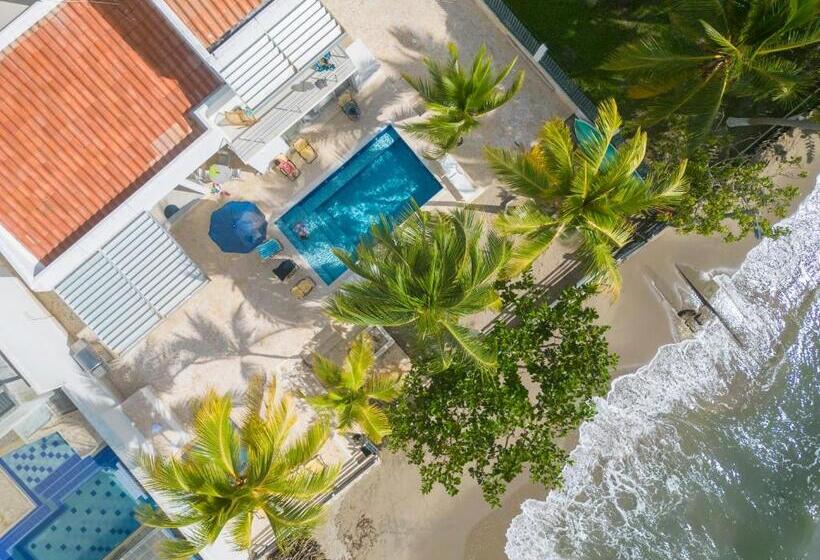 호텔 Quinta Del Mar El Francés