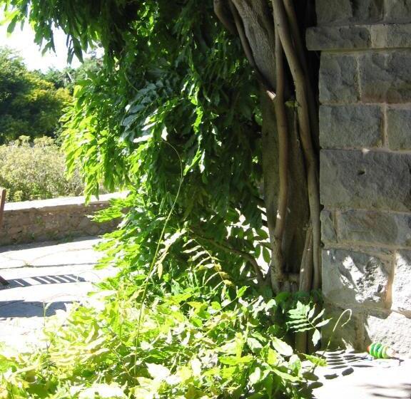 Luxury Bed And Breakfast At Bossington Hall In Exmoor, Somerset