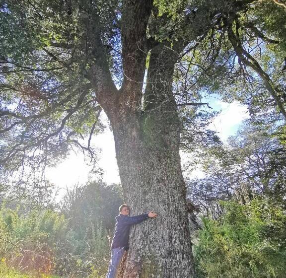 פנסיון Hostal La Casita Del Bajo