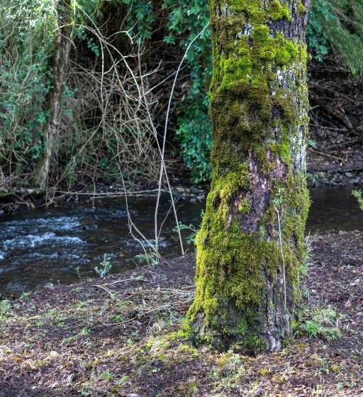 פנסיון Hostal La Casita Del Bajo