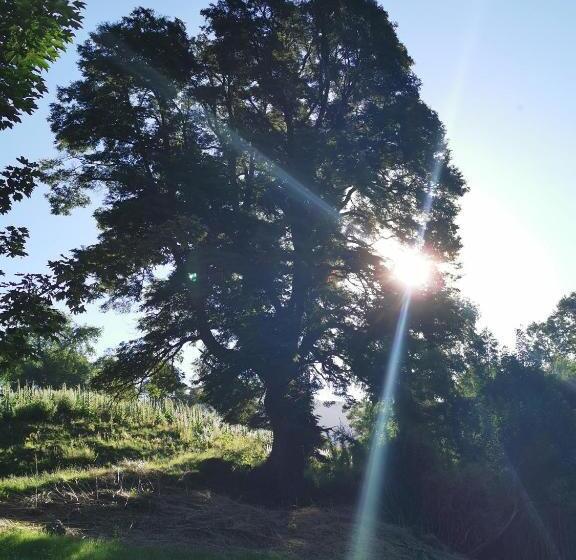 פנסיון Hostal La Casita Del Bajo