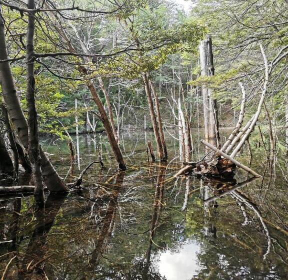 פנסיון Hostal La Casita Del Bajo