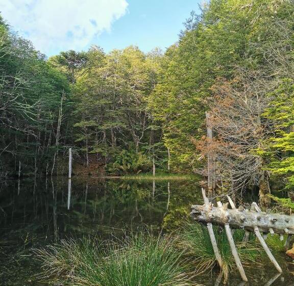 פנסיון Hostal La Casita Del Bajo