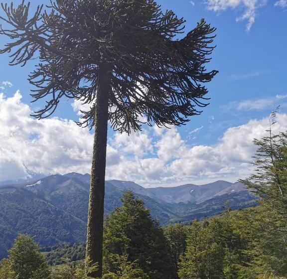 פנסיון Hostal La Casita Del Bajo