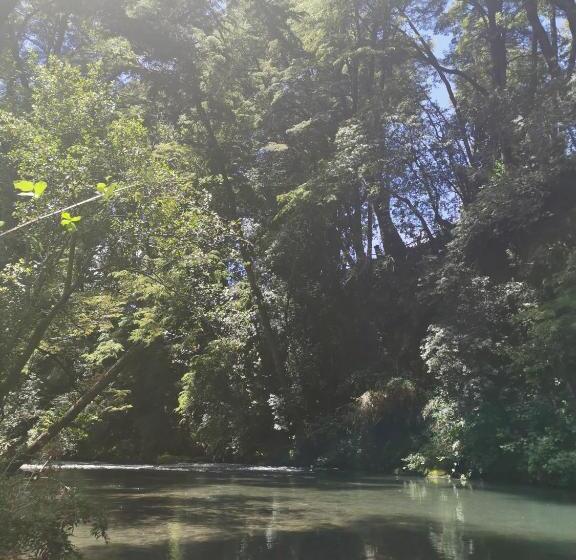 פנסיון Hostal La Casita Del Bajo