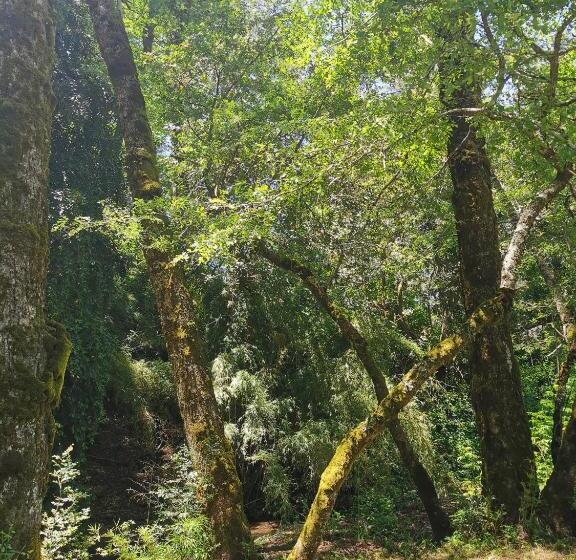 פנסיון Hostal La Casita Del Bajo