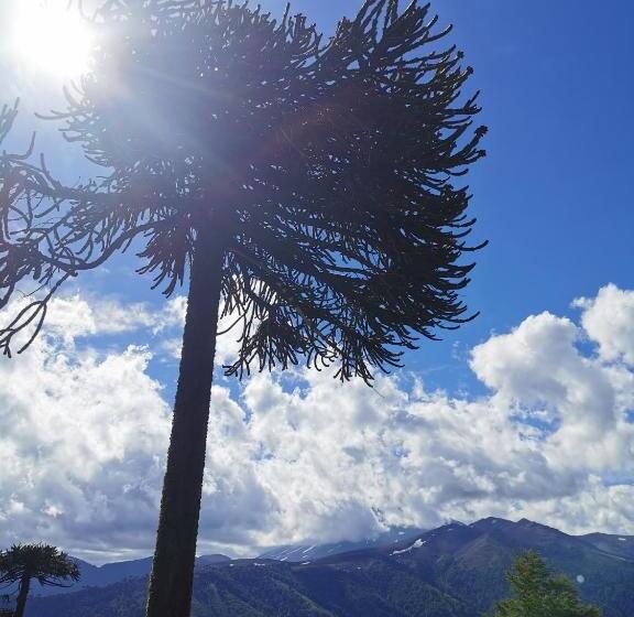 פנסיון Hostal La Casita Del Bajo