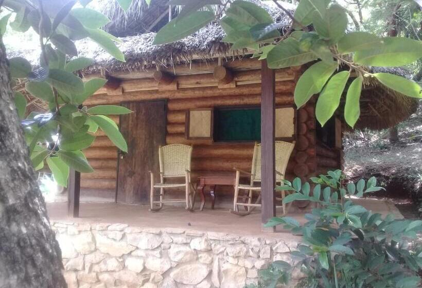 بنسيون Room In Lodge   Sierraverde Huasteca Potosina Cabins Palo De Rosa