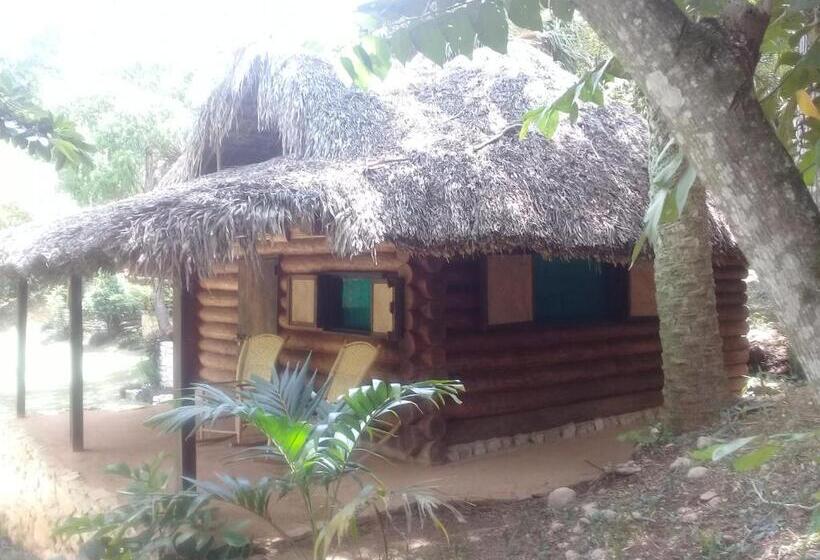 پانسیون Room In Lodge   Sierraverde Huasteca Potosina Cabins Palo De Rosa