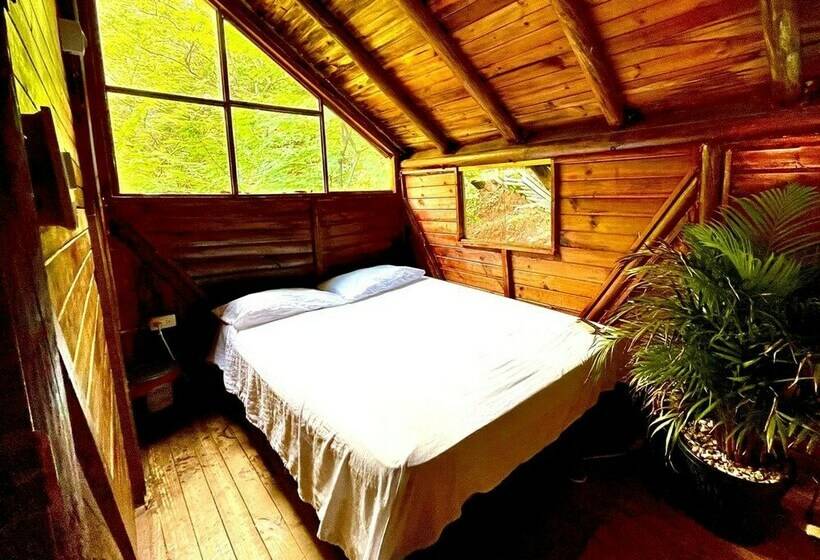 ペンション Tamarindo Beach Hostel