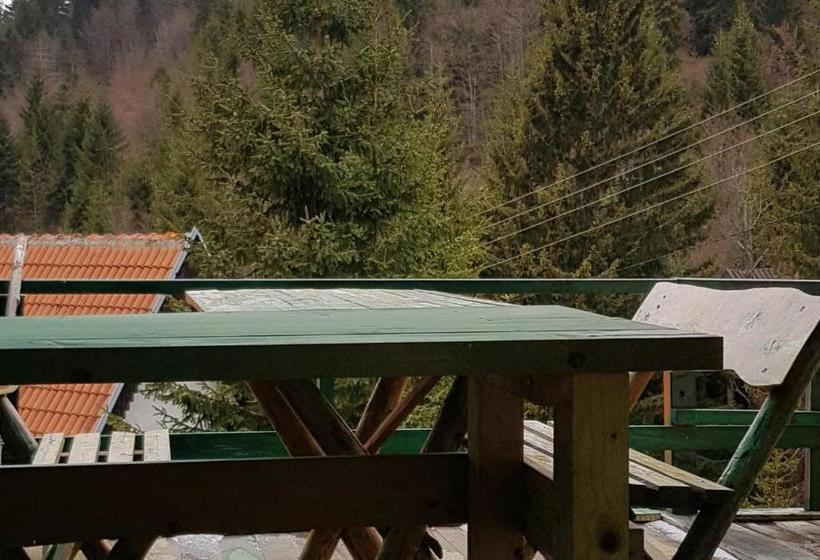 پانسیون Vikendica Jela Kopaonik