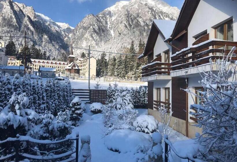 פנסיון Villa Ermitage