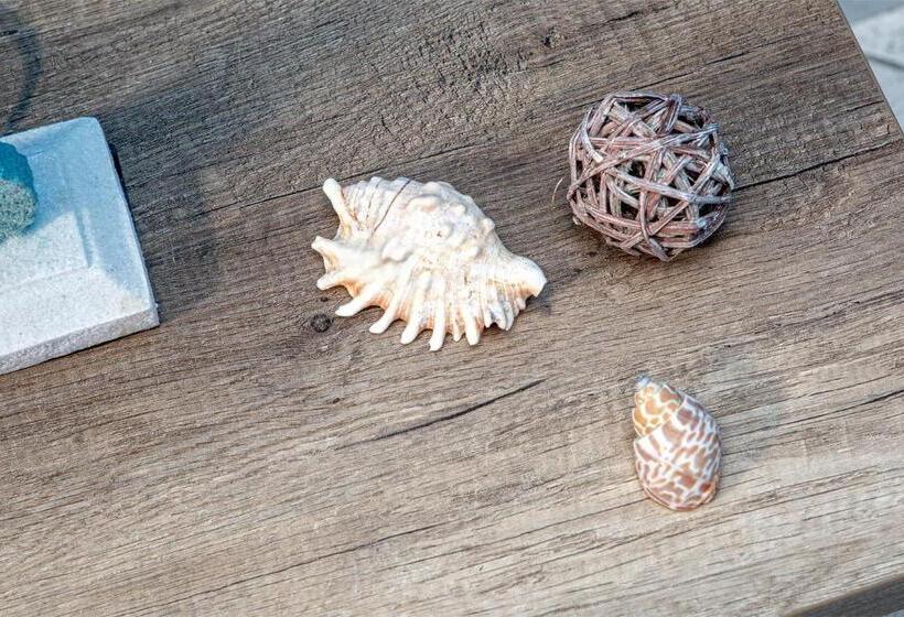 펜션 Vincent House Boutique