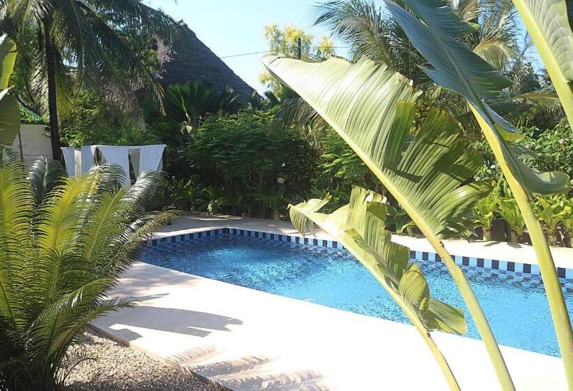 Aurora Boutique Hotel Jambiani