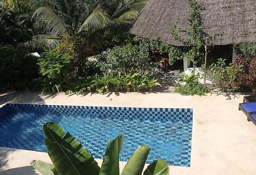 Aurora Boutique Hotel Jambiani