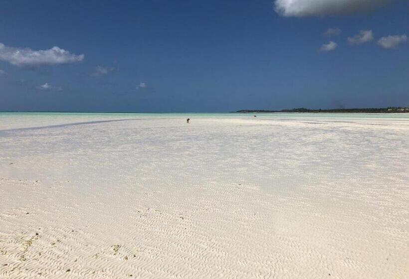 Aurora Boutique Hotel Jambiani