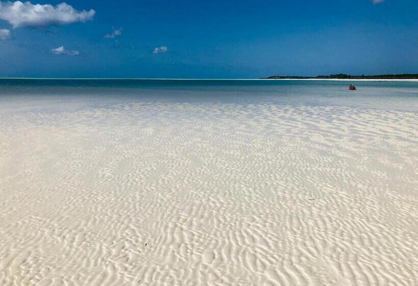 Aurora Boutique Hotel Jambiani