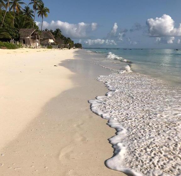 Aurora Boutique Hotel Jambiani