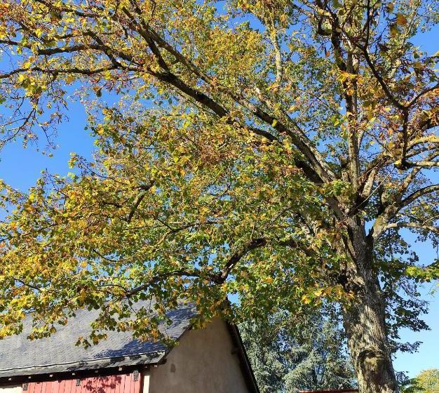 Bed and Breakfast L'aubinoise