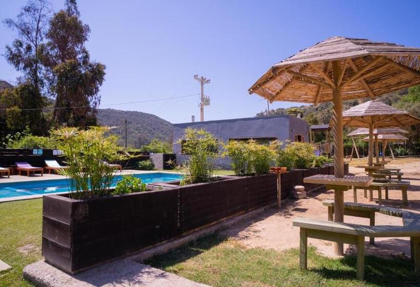 Cabañas Laguna De Zapallar Maitencillo