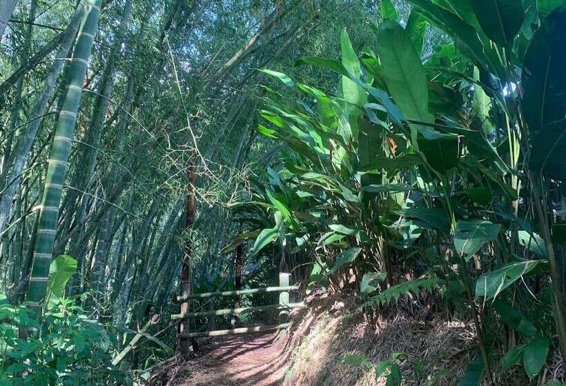 Finca Hotel Mirador Del Bambú