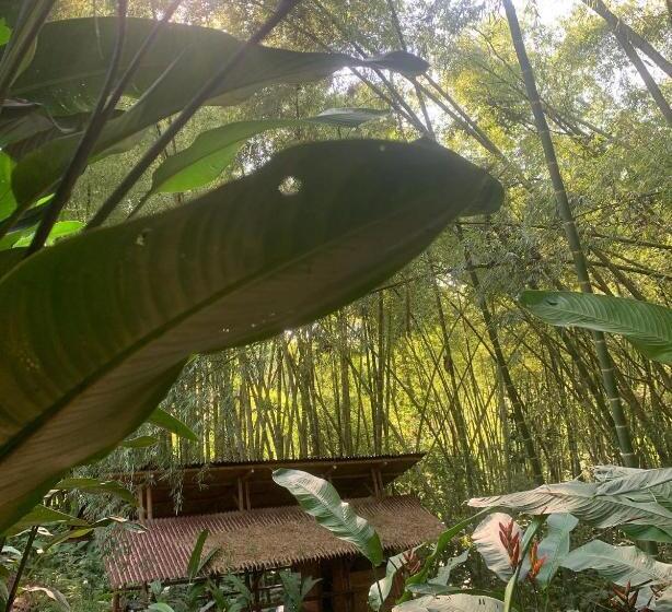 Finca Hotel Mirador Del Bambú