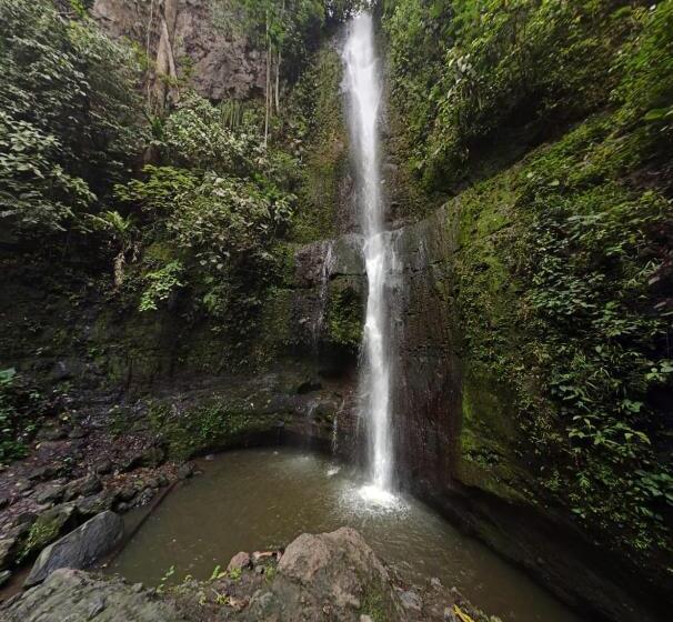 Finca Hotel Mirador Del Bambú