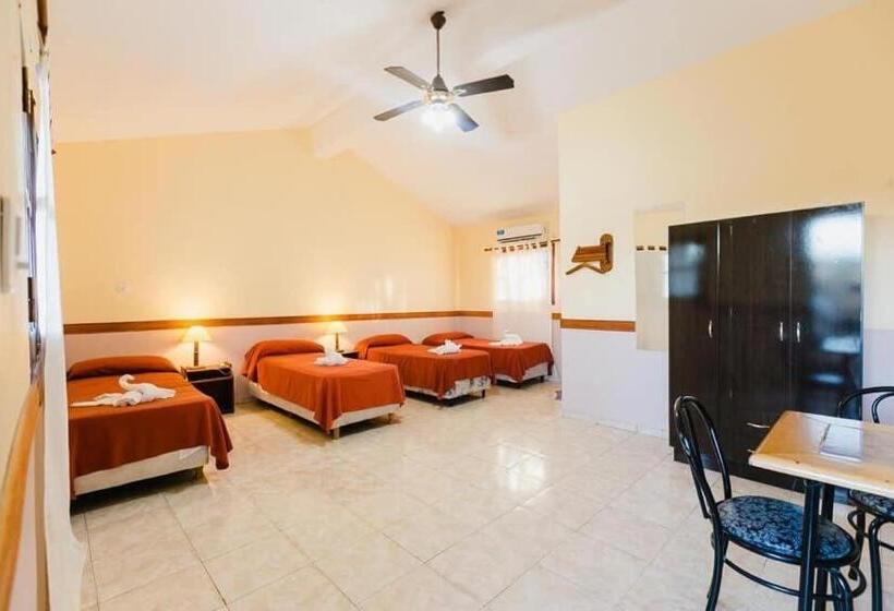 Gran Turín Hotel Boutique Parque,arte Y Tecnología