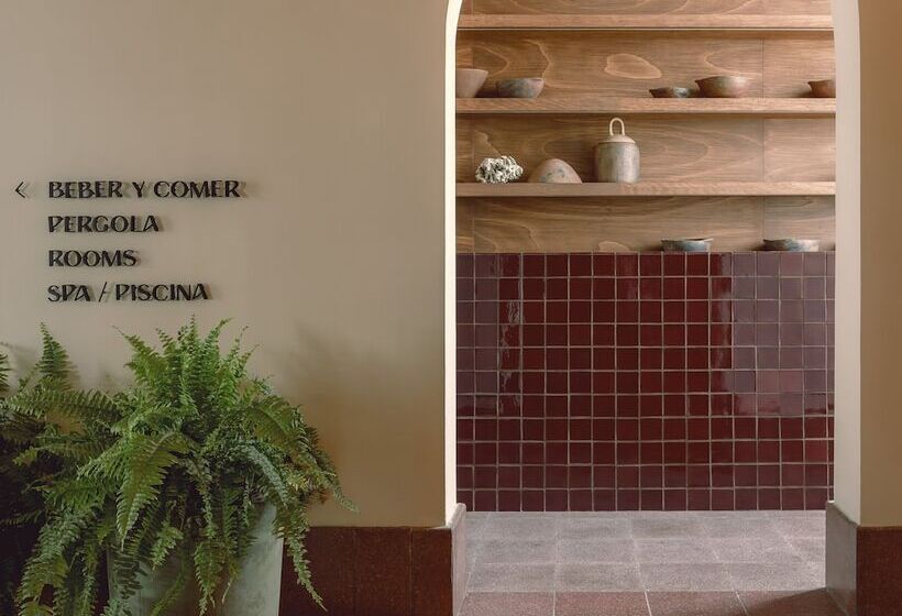 Baja Club Hotel, La Paz, Baja California Sur, A Member Of Design Hotels