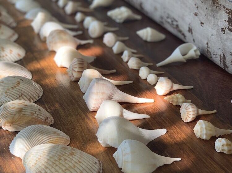 Boutique Hotel El Nido Holbox