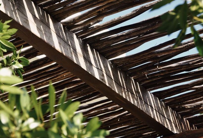 Boutique Hotel El Nido Holbox