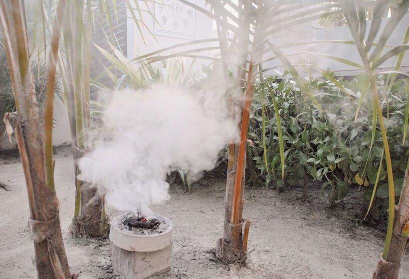 Boutique Hotel El Nido Holbox