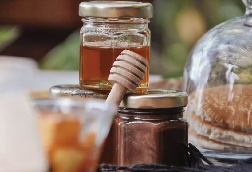 Boutique Hotel El Nido Holbox