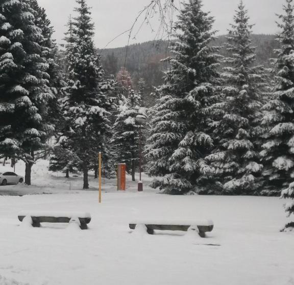 בית מלון כפרי česká Farma