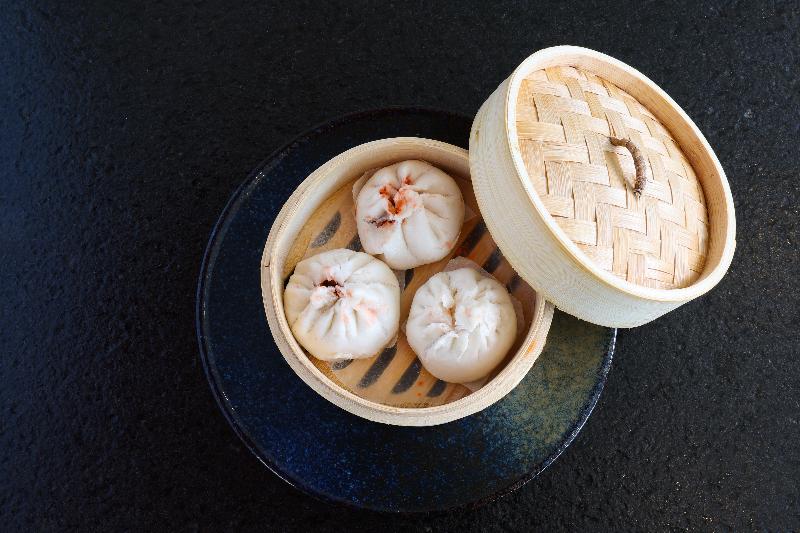 ホテル Garza Blanca Resort & Spa Cancun