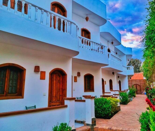 هتل Ghazala Oasis