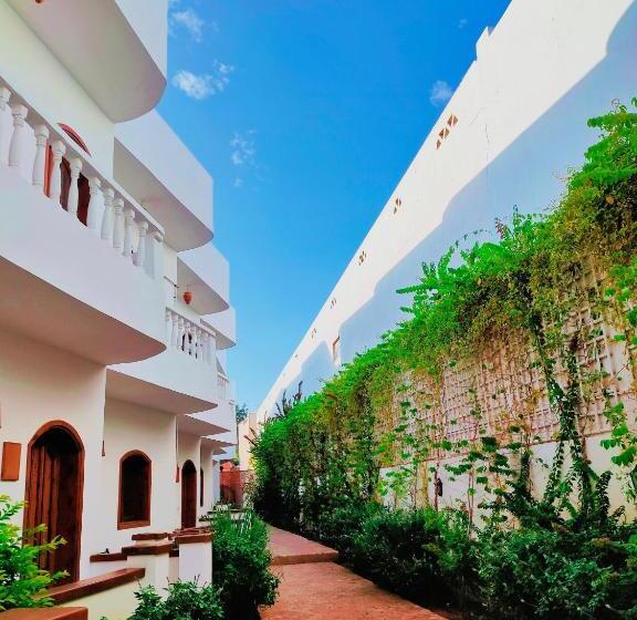 هتل Ghazala Oasis