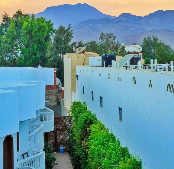 هتل Ghazala Oasis