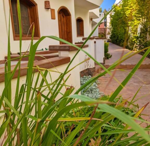 هتل Ghazala Oasis