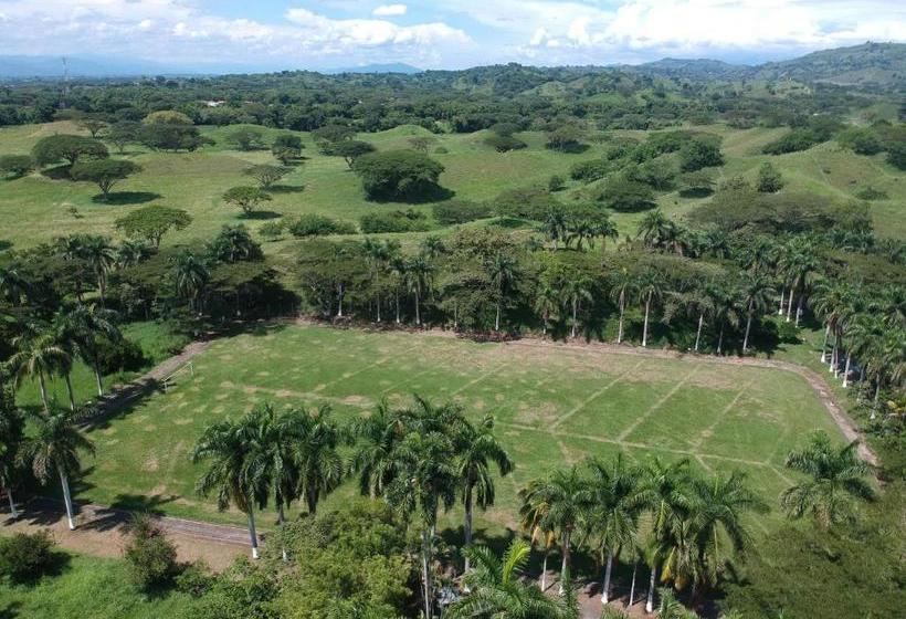 酒店 Máses El Danubio