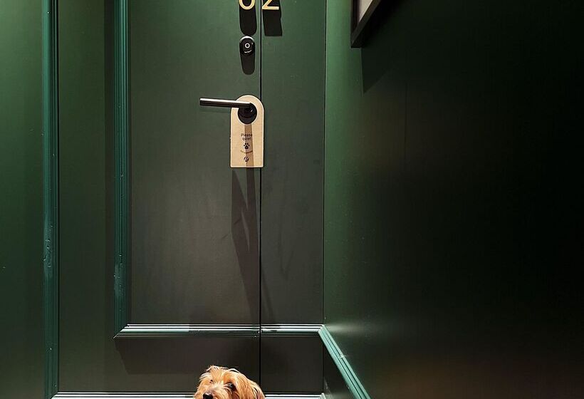 هتل Nivia Born Boutique