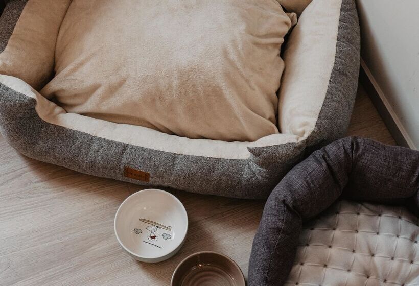 هتل Nivia Born Boutique