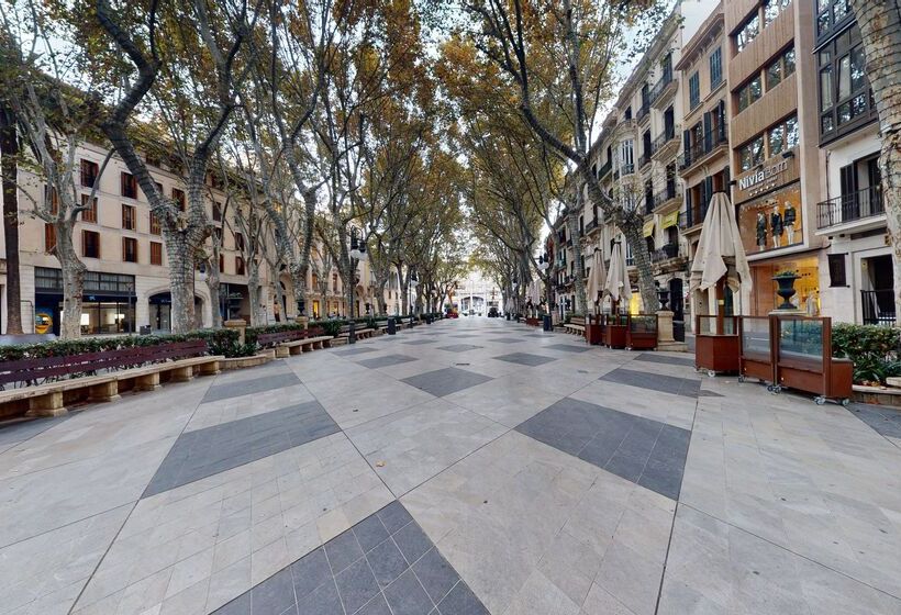 هتل Nivia Born Boutique