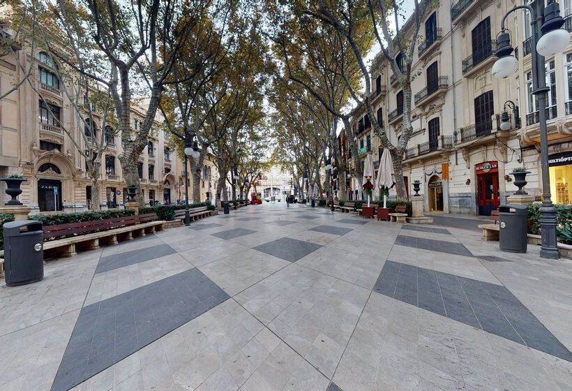 هتل Nivia Born Boutique